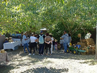 800 PERSONES VAN VISITAR LES EXPLOTACIONS AGRÀRIES DE L’ALT PENEDÈS I VAN PARTICIPAR A LES ACTIVITATS COMPLEMENTÀRIES DE “BENVINGUTS A PAGÈS, LA FESTA”