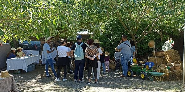 800 PERSONES VAN VISITAR LES EXPLOTACIONS AGRÀRIES DE L’ALT PENEDÈS I VAN PARTICIPAR A LES ACTIVITATS COMPLEMENTÀRIES DE “BENVINGUTS A PAGÈS, LA FESTA”