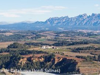 CATÀLEG DE PAISATGE DE L'ALT PENEDÈS