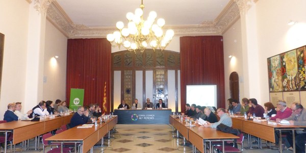 CONSELL D’ALCALDES DE L’ALT PENEDÈS