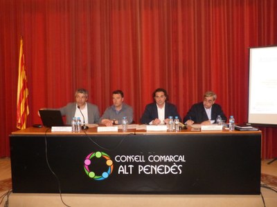 CONSELL D’ALCALDES DE L’ALT PENEDÈS