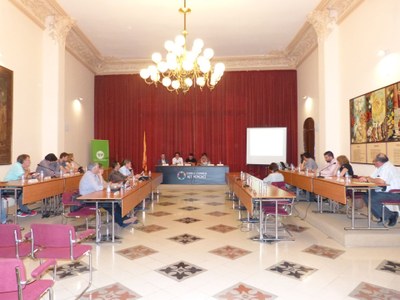 CONSELL D’ALCALDES DE L’ALT PENEDÈS
