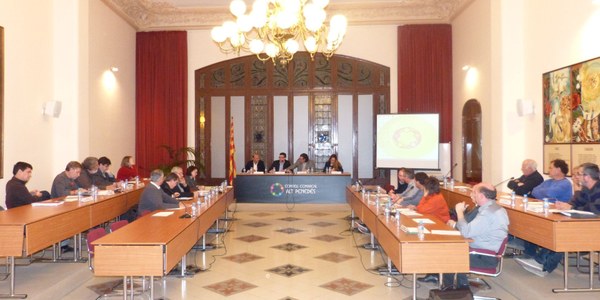 CONSELL D’ALCALDES DE L’ALT PENEDÈS