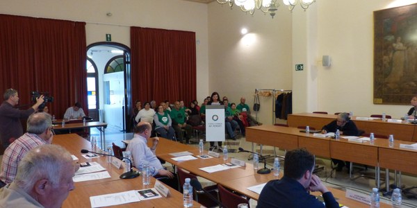 CONSELL D’ALCALDES DE L’ALT PENEDÈS