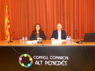 CONTINUA OBERT EL TERMINI PER DEMANAR SUBVENCIONS PER A EMPRENEDORS JOVES I PER A EMPRESES QUE CONTRACTIN PERSONES JOVES