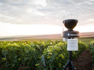 CRIDA ALS VITICULTORS I ELS CELLERS AMB VINYES PRÒPIES PERQUÈ SE SUMIN AL PROJECTE “MONITORITZACIÓ CLIMATOLÒGICA I MODELS DE PREVENCIÓ DE MALALTIES DE LA VINYA” DEL CONSELL COMARCAL DE L’ALT PENEDÈS