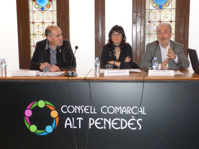 DIAGNOSI DE LA SITUACIÓ DE LA SALUT MENTAL A L’ALT PENEDÈS