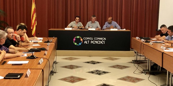 EL CCAP VOL IMPLICAR LES ADMINISTRACIONS I LES ASSOCIACIONS DEL SECTOR VITIVINÍCOLA EN EL DESENVOLUPAMENT D`ESTRATÈGIES TERRITORIALS EN DEFENSA DEL SECTOR DE LA VINYA: