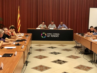 EL CCAP VOL IMPLICAR LES ADMINISTRACIONS I LES ASSOCIACIONS DEL SECTOR VITIVINÍCOLA EN EL DESENVOLUPAMENT D`ESTRATÈGIES TERRITORIALS EN DEFENSA DEL SECTOR DE LA VINYA: