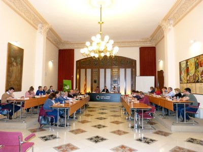 EL CONSELL COMARCAL DE L’ALT PENEDÈS ACTUALITZA 5 ORDENANCES FISCALS