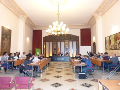 EL CONSELL COMARCAL DE L’ALT PENEDÈS APROVA EL PLA COMARCAL DE DROGUES “EFECTES D” 2019-2023