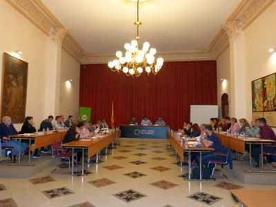 EL CONSELL COMARCAL DE L’ALT PENEDÈS APROVA EL PLA D’ACCIÓ COMARCAL 2016-2019