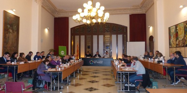 EL CONSELL COMARCAL DE L’ALT PENEDÈS APROVA EL PRESSUPOST DE 2019