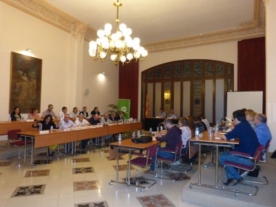 EL CONSELL COMARCAL DE L’ALT PENEDÈS APROVA L’ADDENDA DEL CONTRACTE PROGRAMA EN MATÈRIA DE BENESTAR SOCIAL, JOVENTUT I POLÍTIQUES D’IGUALTAT