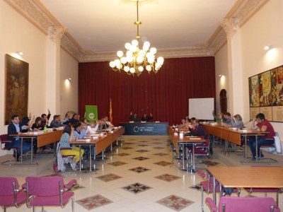 EL CONSELL COMARCAL DE L’ALT PENEDÈS APROVA LA NOVA CARTA DE SERVEIS 2019