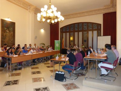EL CONSELL COMARCAL DE L’ALT PENEDÈS APROVA PER UNANIMITAT LES AL·LEGACIONS AL PLA DIRECTOR URBANÍSTIC D’INFRAESTRUCTURES DE LA RÒTULA MARTORELL-ABRERA