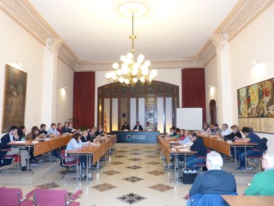 EL CONSELL COMARCAL DE L’ALT PENEDÈS CREARÀ UN REGISTRE CENTRALITZAT DE LLICÈNCIES DE TAXI
