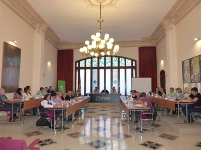 EL CONSELL COMARCAL DE L’ALT PENEDÈS DEFENSA EL MODEL SANITARI CATALÀ