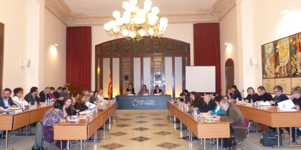 El CONSELL COMARCAL DE L’ALT PENEDÈS DEMANA QUE ES GARANTEIXI LA VIABILITAT DE LES ESCOLES MUNICIPALS I COMARCALS DE MÚSICA I DANSA
