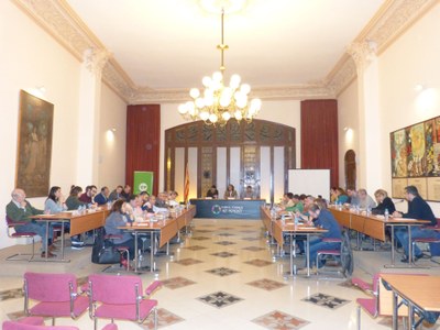El CONSELL COMARCAL DE L’ALT PENEDÈS DONA SUPORT A LA PETICIÓ DE LA CREU DE SANT JORDI PER A LA RESIDÈNCIA INGLADA VIA