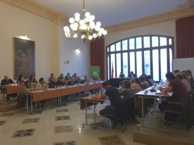 El CONSELL COMARCAL DE L’ALT PENEDÈS I EL CONSORCI DE PROMOCIÓ TURÍSTICA DEL PENEDÈS TANQUEN L’EXERCICI 2016 AMB UN SALDO POSITIU
