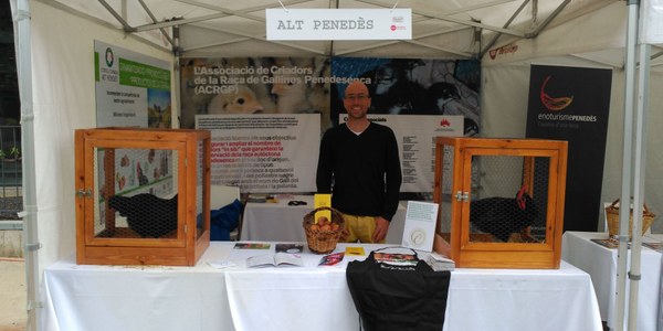 EL CONSELL COMARCAL DE L’ALT PENEDÈS I L’ASSOCIACIÓ DE CRIADORS DE LA RAÇA DE GALLINES PENEDESENCA VAN PARTICIPAR A “ALICIA’T”