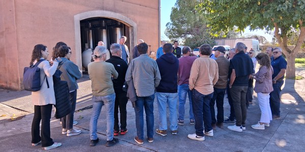 EL CONSELL COMARCAL DE L’ALT PENEDÈS ORGANITZA UNA SORTIDA DE BONES PRÀCTIQUES A MALLORCA PER CONÈIXER EXPERIÈNCIES INNOVADORES EN VITICULTURA I SANITAT VEGETAL