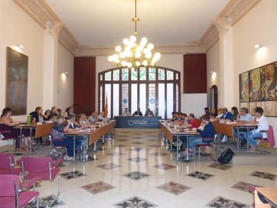 EL CONSELL COMARCAL DE L’ALT PENEDÈS S’ADHEREIX AL PACTE PER A L’ADAPTACIÓ AL CANVI CLIMÀTIC