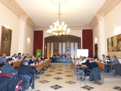 EL CONSELL D’ALCALDES DEBAT LA PROPOSTA DE TRANSFORMAR EN CARRETERES 4 CAMINS DE L’ALT PENEDÈS