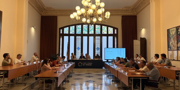 EL CONSELL D'ALCALDIES PRESENTA EL NOU SERVEI TERRITORIAL DE PROTECCIÓ CIVIL AL PENEDÈS I ANALITZA L'IMPACTE DEL CANVI CLIMÀTIC EN LA GESTIÓ D'EMERGÈNCIES