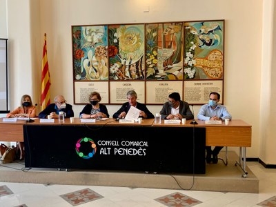 ELS POLÍGONS DE L’ALT PENEDÈS, AL CERCADOR DE L’ÀREA METROPOLITANA