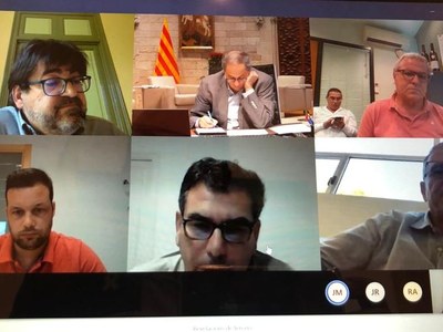 LA GENERALITAT ANUNCIARÀ MESURES COMPLEMENTÀRIES PER ALS VITICULTORS AFECTATS PEL MÍLDIU