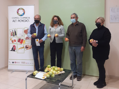 LA POMA DE PONTONS, PROTAGONISTA DE LA NOVA CAMPANYA DE PROMOCIÓ DEL CONSELL COMARCAL I L’AJUNTAMENT