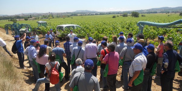 MÉS DE 50 VITICULTORS EN LA JORNADA SOBRE CALIBRATGE D’EQUIPS D’APLICACIÓ DE PRODUCTES FITOSANITARIS