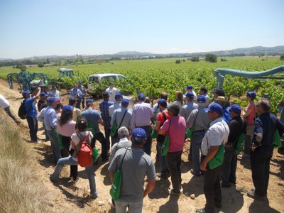 MÉS DE 50 VITICULTORS EN LA JORNADA SOBRE CALIBRATGE D’EQUIPS D’APLICACIÓ DE PRODUCTES FITOSANITARIS