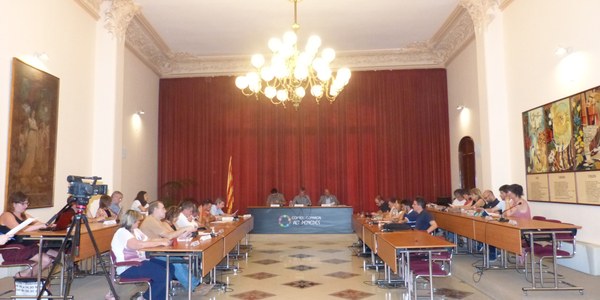 Ple del cartipàs al Consell Comarcal de l’Alt Penedès