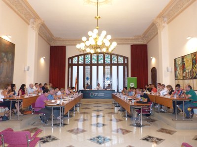 Ple del cartipàs al Consell Comarcal de l’Alt Penedès