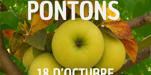PONTONS CELEBRA LA 4A FIRA DE LA POMA