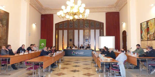 PRESENT I FUTUR DELS SERVEIS DE SALUT; TÍTOL DE LA PONÈNCIA PRESENTADA AL CONSELL D’ALCALDES DE L’ALT PENEDÈS