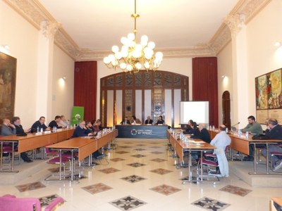 PRESENT I FUTUR DELS SERVEIS DE SALUT; TÍTOL DE LA PONÈNCIA PRESENTADA AL CONSELL D’ALCALDES DE L’ALT PENEDÈS