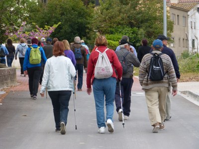 PROPERA CAMINADA COMARCAL DE LA GENT GRAN A SANT MARTÍ SARROCA