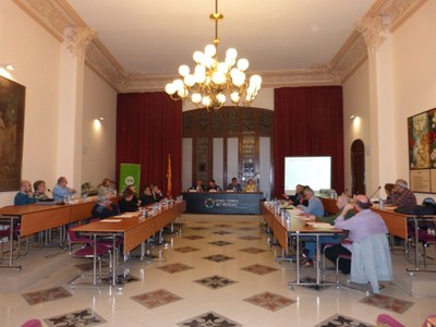 SESSIÓ PLENÀRIA DEL CONSELL D’ALCALDES DE L’ALT PENEDÈS