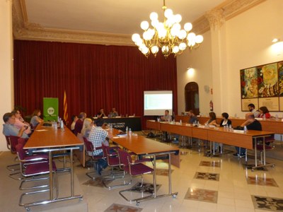SESSIÓ PLENÀRIA DEL CONSELL D’ALCALDES DE L’ALT PENEDÈS