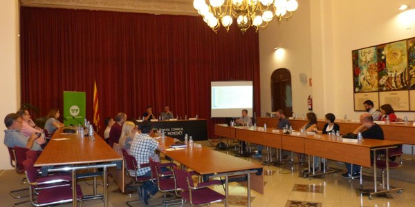 SESSIÓ PLENÀRIA DEL CONSELL D’ALCALDES DE L’ALT PENEDÈS