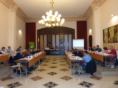 SESSIÓ PLENÀRIA DEL CONSELL D’ALCALDES DE L’ALT PENEDÈS