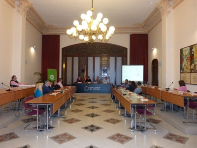 SESSIÓ PLENÀRIA DEL CONSELL D’ALCALDES DE L’ALT PENEDÈS