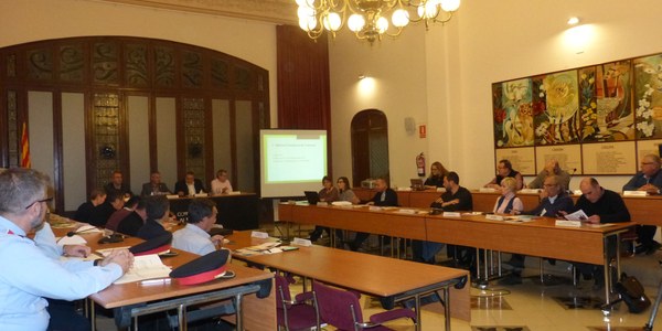 SESSIÓ PLENÀRIA DEL CONSELL D’ALCALDES I ALCALDESSES DE L’ALT PENEDÈS