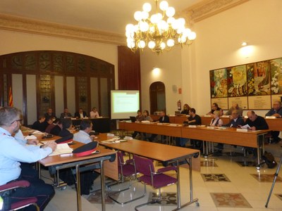 SESSIÓ PLENÀRIA DEL CONSELL D’ALCALDES I ALCALDESSES DE L’ALT PENEDÈS