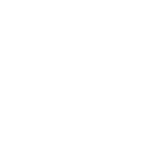 Galeria activitats