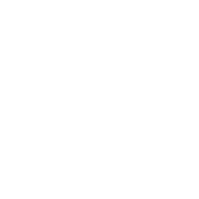 Jornada inaugural